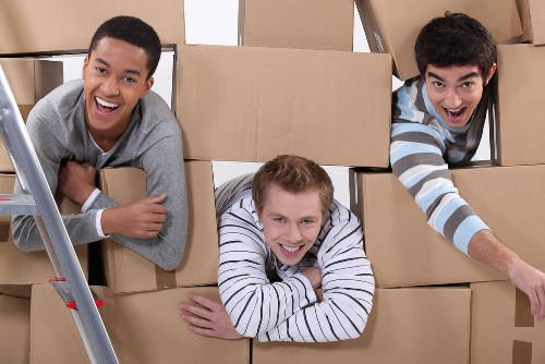 Cannhall Storage safety policy introduction with warehouse and storage environment