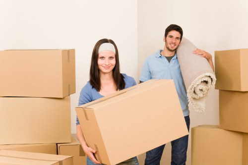 Flexible Cannhall storage use for moving and seasonal items