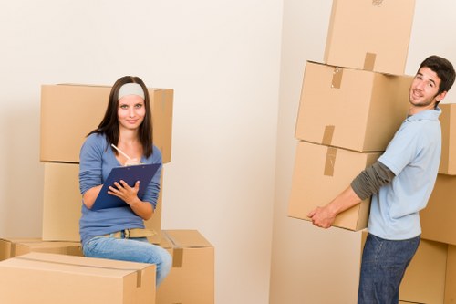 Different household storage options in Cannhall including shelving and boxes